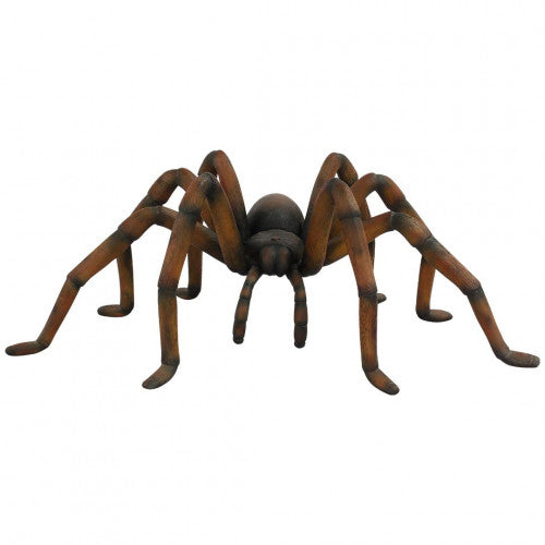 Halloween Recluse Spider, Brown