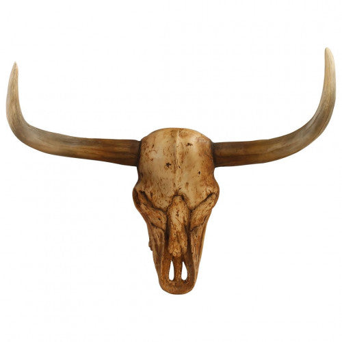 Bull Skull