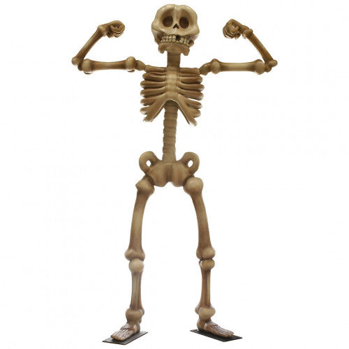 Halloween Flexing Skeleton