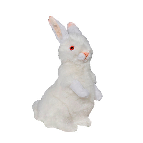 White rabbit, sitting.