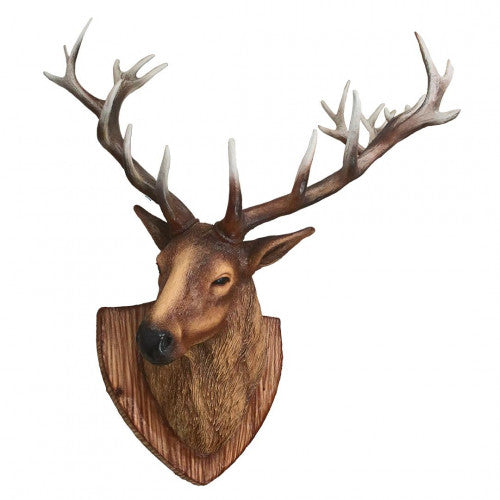 Stag Trophy Head