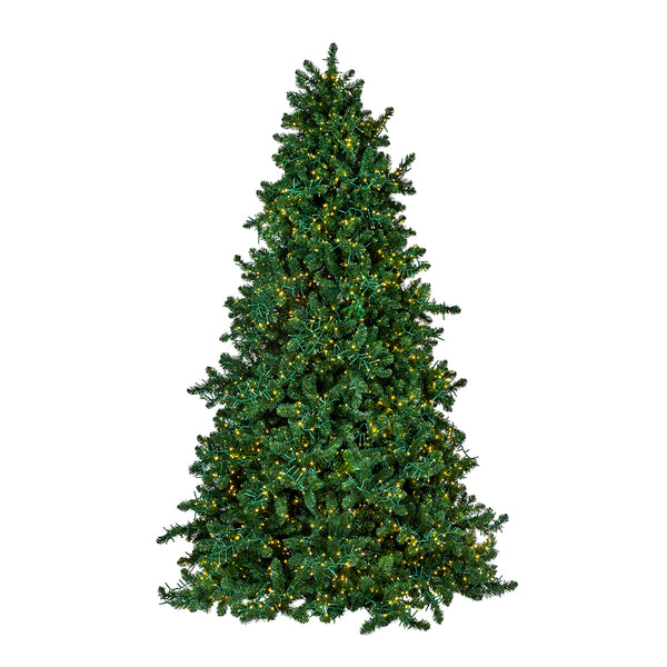 9' Royal Majestic Pine w/Cluster LED Warm White Lights with 8 Functions