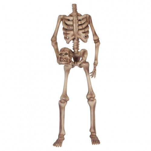 Halloween Headless Skeleton