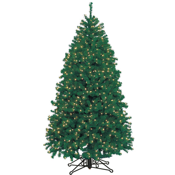 6 FT Highland Fir Tree, Clear Incan, 1PP